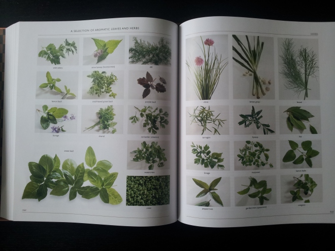 There are some very visual pages such as this one, which shows all the different types of aromatic herbs and leaves (it goes on for a few pages). Put simply, this book uses images when it needs to, and only when it needs to.